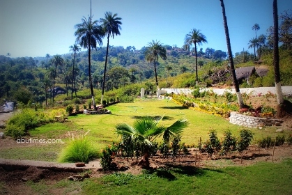 LUSH GREEN WIDE GARDEN