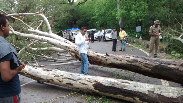 Still the roads are blocked with fallen trees 