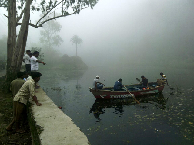 mount-abu-fish-dead