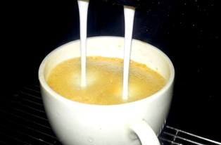 cappuccino mount abu 