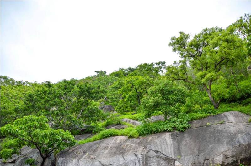 latest-n-exclusive-photos-of-fog-monsoon-in-mount-abu-10