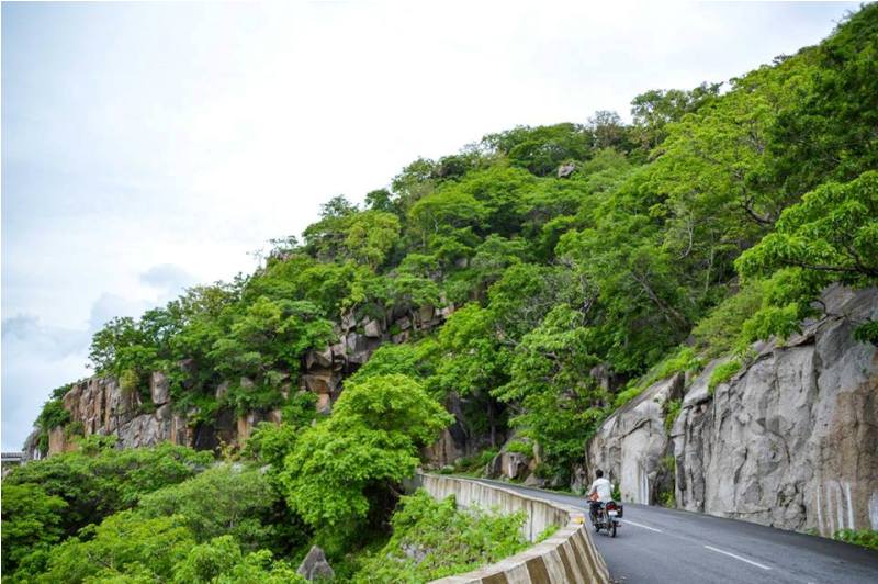 latest-n-exclusive-photos-of-fog-monsoon-in-mount-abu-3