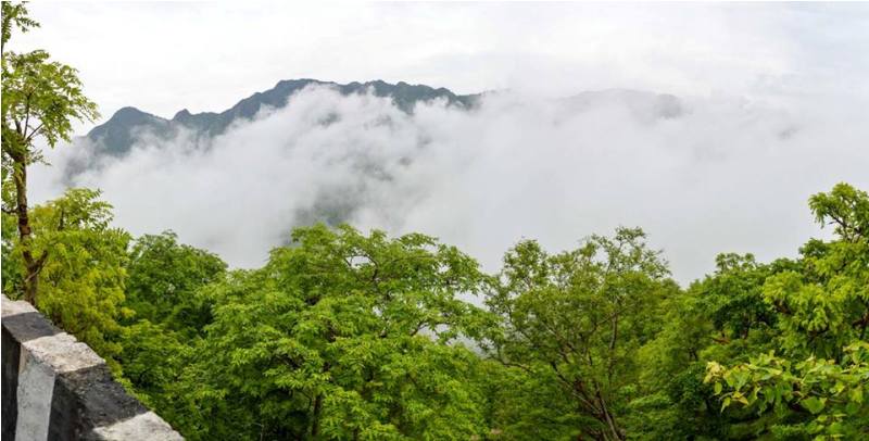 latest-n-exclusive-photos-of-fog-monsoon-in-mount-abu-8