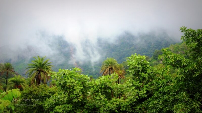 monsoon-collection-mount-abu-2016-6