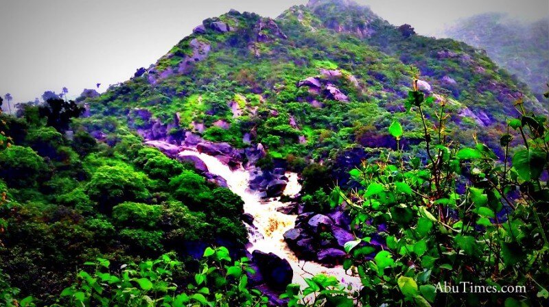 Monsoons in Mount Abu have always evoked a mixed response in my mind: Dr. A Shyamala
