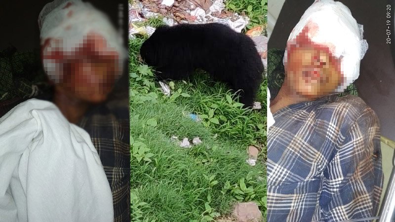 12 years old kid attacked by a bear: Achalgarh