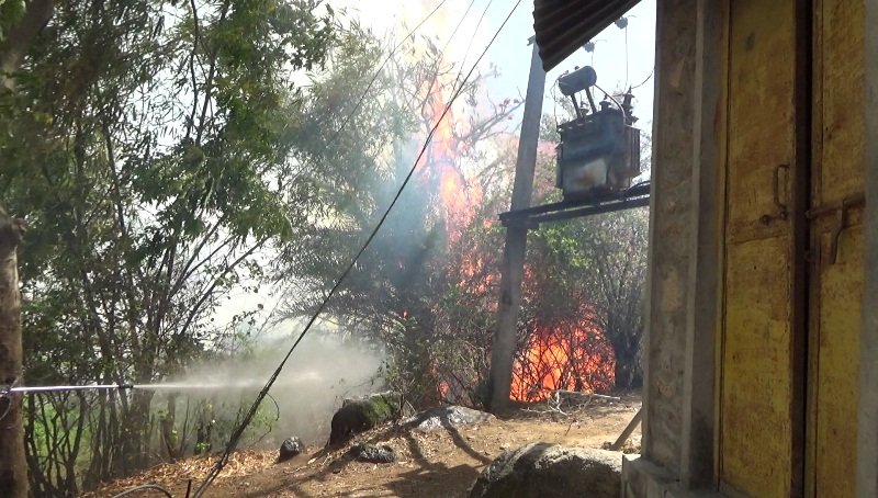 माउंट आबू के जंगलो में आये दिन भड़क रही आग