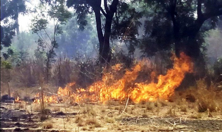 आबू की पहाडीयो में भडका दानवाव, आग लगना जैसे आम बात हो गई