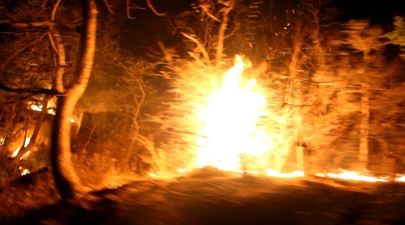 Burning Abu, Lazy Forest Dept. without Fire Brigade [Watch Exclusive Videos]