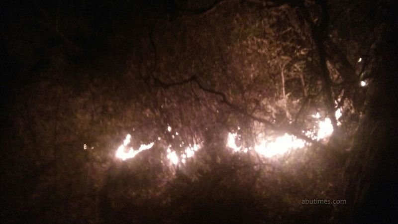 माउंट आबू के रास्ते में छीपाबेरी के निकट देर रात लगी आग