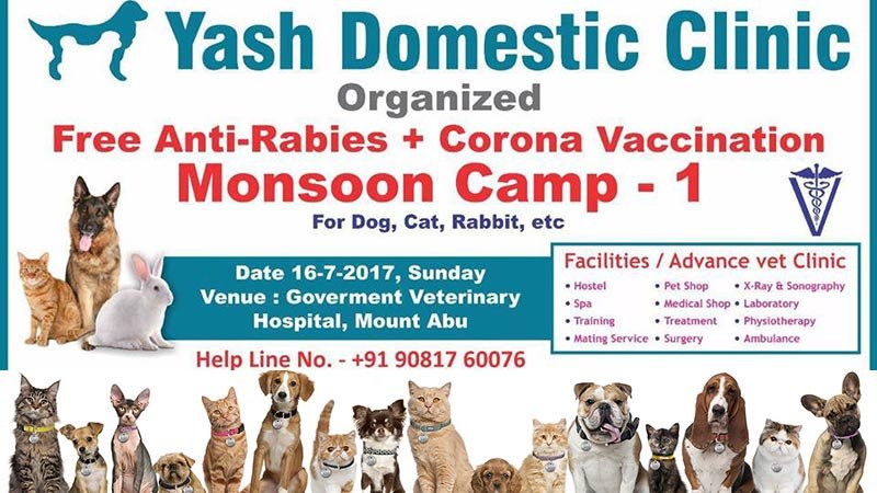 FREE Vaccination Camp for Dogs, Cats in Mount Abu .. Call 9081760076 for FREE Registration