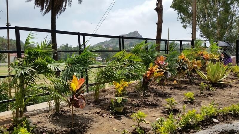Initiative by an Individual, Lesson for all: Garden developed at Roadside, Mt. Abu