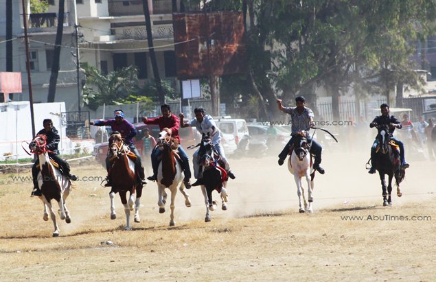 Horse and Dog Show on the day 3 of Winter Festival, Mount Abu