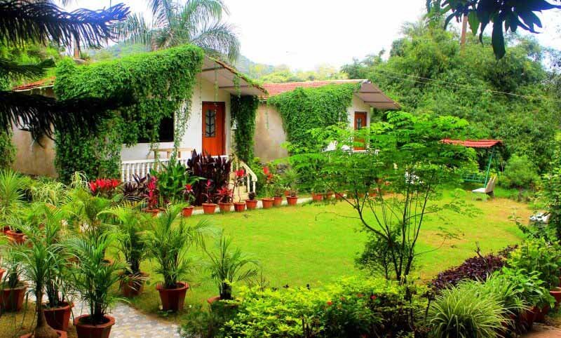 GREEN VIEW COTTAGES
