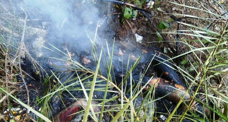 खुद को आग लगाकर ओरिया के निकट खाई में कूदा पर्यटक [देखे विडियो]