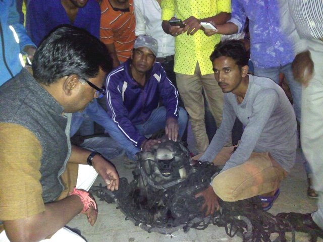 बन्दर को संभाला और मृत मछलियों को निकाला झील से बहार