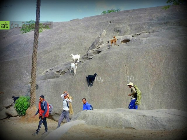 इंसान क्या यहाँ बकरिया भी सरपट चढ़ जाती है पहाड़