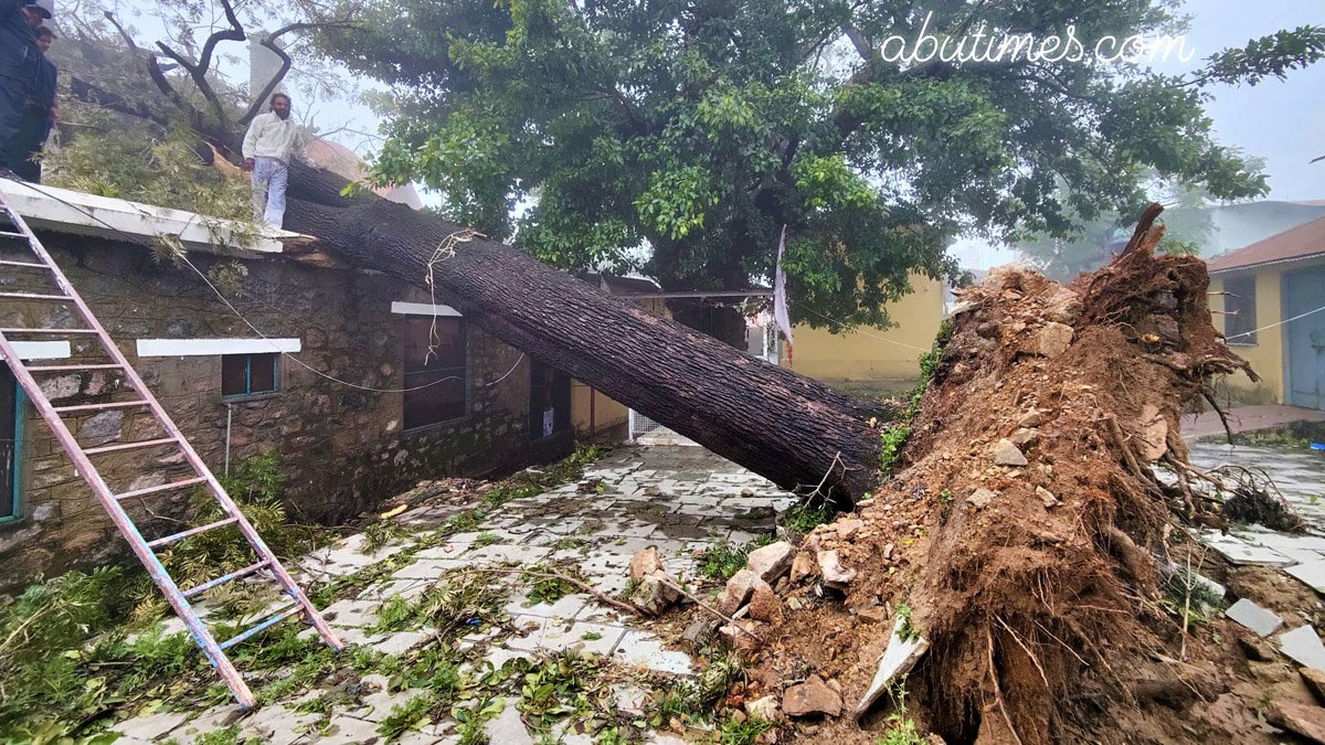 No Electricity & Network from last 3 days, 25" Rainfall, 42 Poles and 60 Trees Down: Mount Abu
