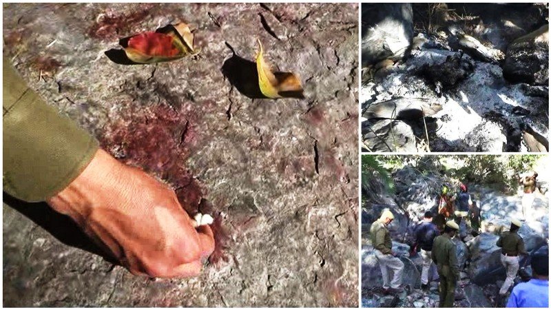 माउंट आबू के जगंलो मे निर्मम हत्या | हत्या के बाद शव को जलाया