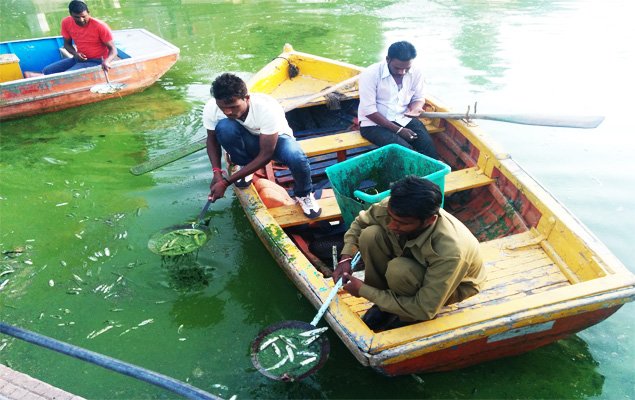 नक्की झील की हो रही है सफाई, तकनीक को लेकर उठे सवाल