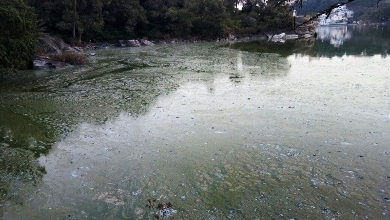 स्वच्छ भारत आभियान को चुनोती देती नक्की में पसरी गंदगी, पालिका जान के भी अनजान