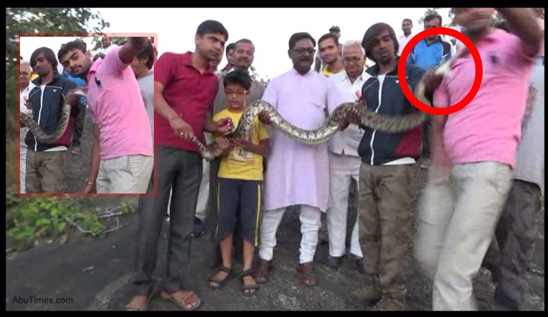 Python too hates selfie, proved yesterday in mount abu [Watch Video]