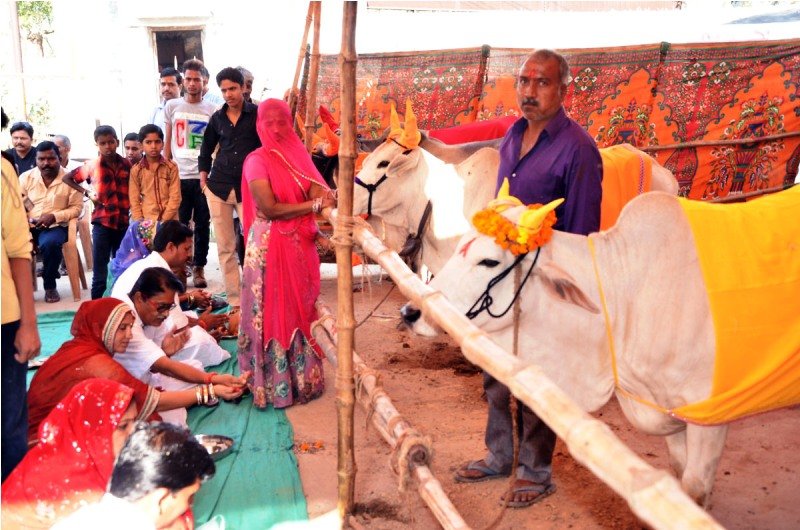 कलश यात्रा निकाल दिया 'गऊ माता' रक्षा का संदेश