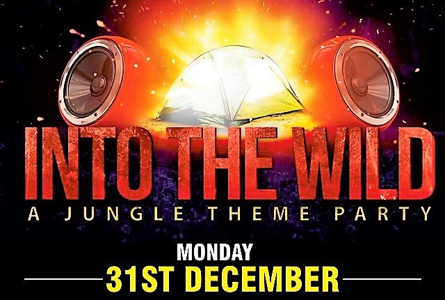 New Year 2019 Party into the Wild Again @ Thrill Zone Adventure Park, Mount Abu