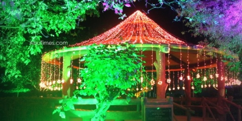 mount-abu-diwali-lightings-nakki-lake-2015-17