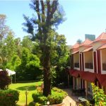 mount abu garden boutique hotel