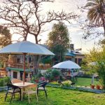 forest eco lodge mount abu