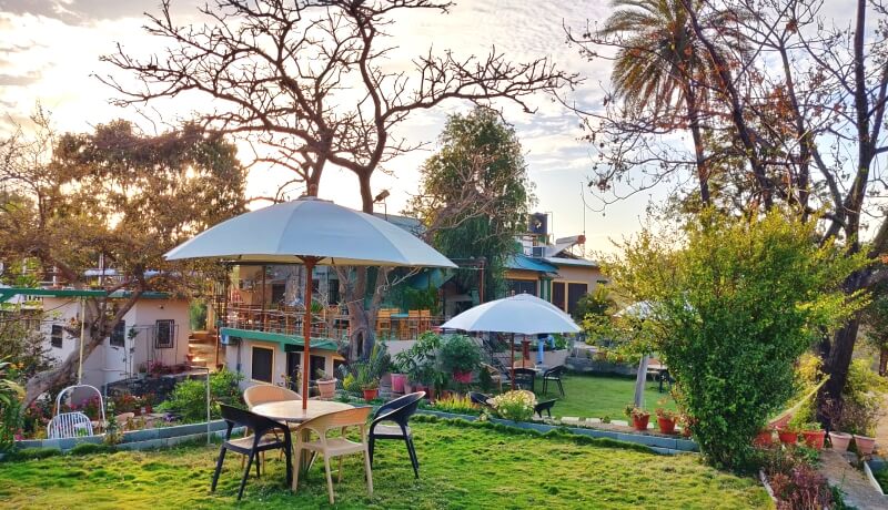 forest eco lodge mount abu